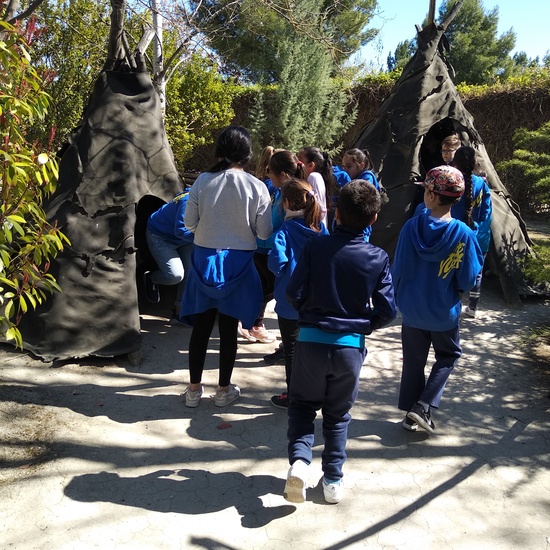 Arqueopinto 4º 19 7