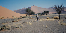 Caminando en el desierto, Namibia