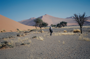 Caminando en el desierto, Namibia