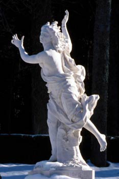 Muestra de una imagen de formato vertical