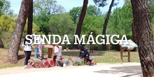 Senda Mágica