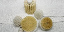 Cepillos de brossage modelo 1
