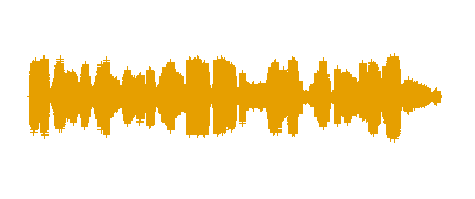 ARAÑA, ARAÑITA    AULA B