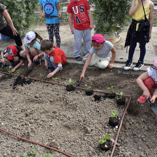 Siembra Huerta Balta 5 años 2018 44