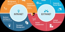 Diferencia entre Intranet y Extranet