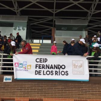 2018-04-09_Olimpiadas Escolares_CEIP FDLR_Las Rozas_Gradas 1