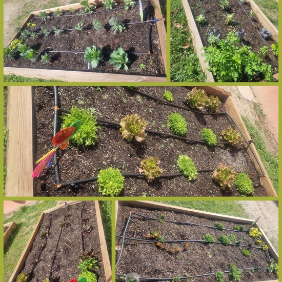 Huerto primavera 26 2