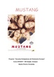 Ficha Didáctica Mustang