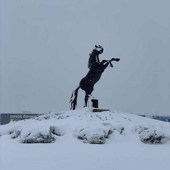 Fotografías Filomena 6