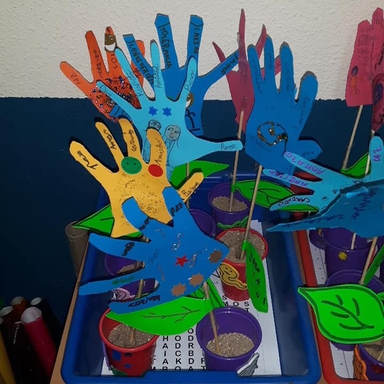 INVERNADEROS PARA LA PAZ 4