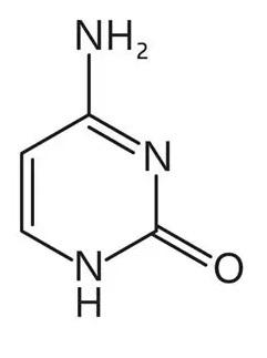 Citosina