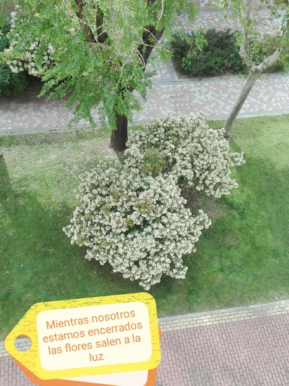 Lucía Miguel Casco. 6ºB