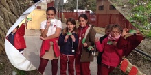 PROYECTO DE PATIOS. LOS LUNES HUERTO ESCOLAR. ACTIVIDADES