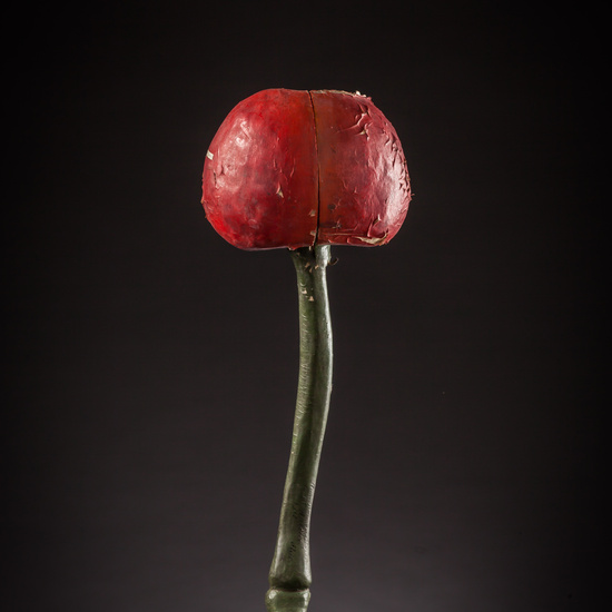 IES_ISABELLACATOLICA_BIOLOGIA_180