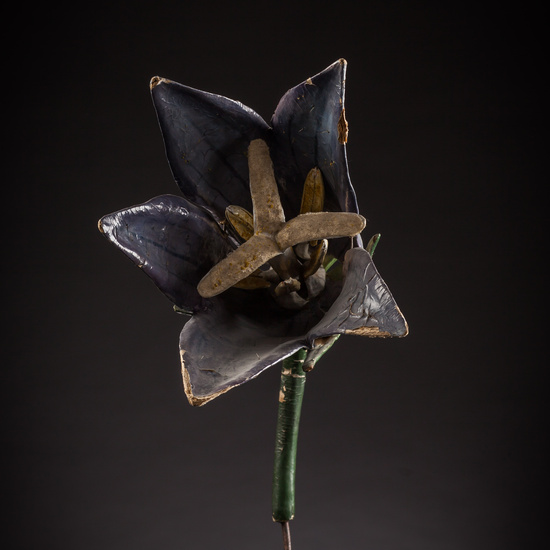 IES_ISABELLACATOLICA_BIOLOGIA_087