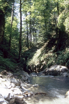 Curso de un río en el Barranco de Bitet, Huesca