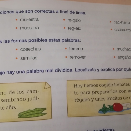 Ejercicios Lengua 20 de marzo