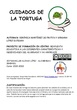 CUIDADOS TORTUGA