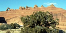 Gran Cañón del Colorado, Arizona