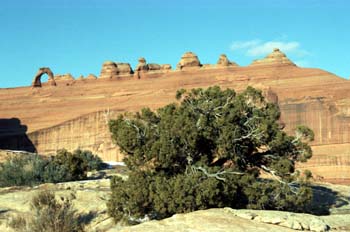 Gran Cañón del Colorado, Arizona