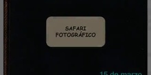 Safari fotográfico.