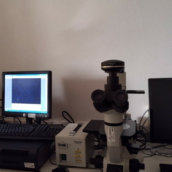 2019-11-29 visita alumnos 1º bto semana de la ciencia 2