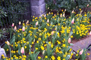 Jardines del Hotel The Empress, Victoria