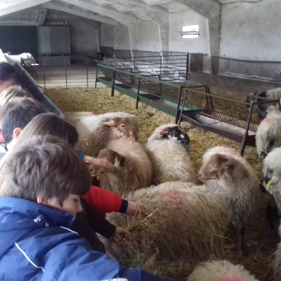 Albergue 5º- 3º día (mañana) 19