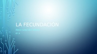 TALLER DE CIENCIAS - CIUDAD PEGASO - La fecundación