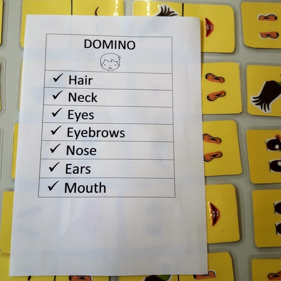 Face-Domino-contents