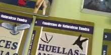 Taller Huellas 2