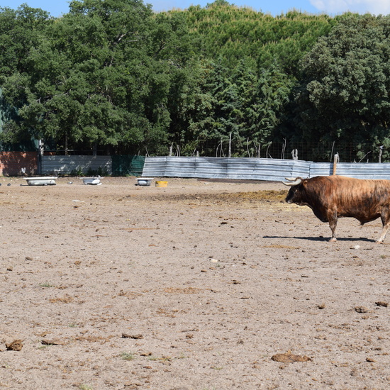 Salida en bici 4º de Primaria 16