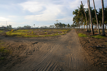 Casas destruidas, Melaboh, Sumatra, Indonesia