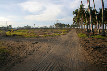 Casas destruidas, Melaboh, Sumatra, Indonesia