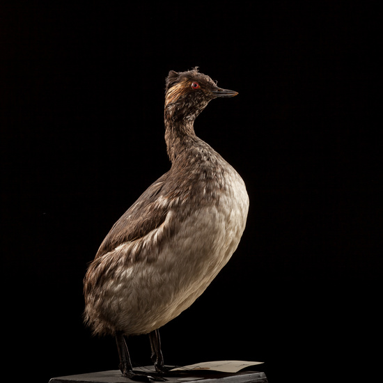 IES_SANISIDRO_BIOLOGIA_006