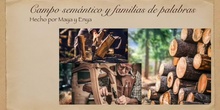 Familia de palabras y campo semántico 3