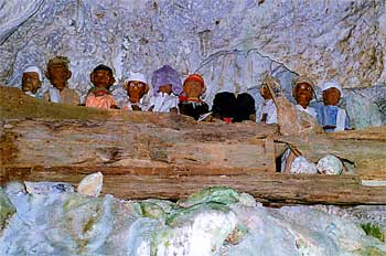 Vista de varios Tau-Tau, cultura Toraja, Sulawesi, Indonesia