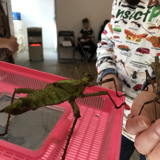 2020_02_27_3º visita Insectpark (3)_CEIP FDLR_Las Rozas 39