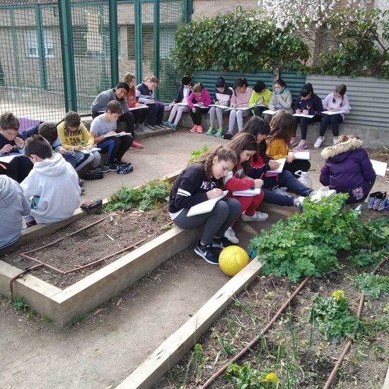 2019_02_24_Quinto termina febrero con las actividades de huerto_CEIP FDLR_Las Rozas_2019 5