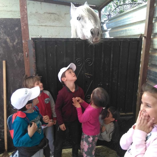 SALIDA NATURALEZA 29