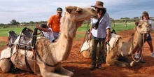 Dispuestos para un paseo en camello, Australia