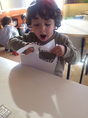 2017_02_Los delfines tijereteros... 2