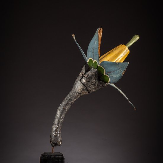 IES_ISABELLACATOLICA_BIOLOGIA_015