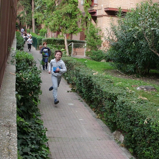 EL HOSTOS CORRE CONTRA EL CÁNCER 9