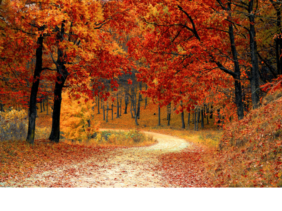 PRUEBA PROYECTO FINAL