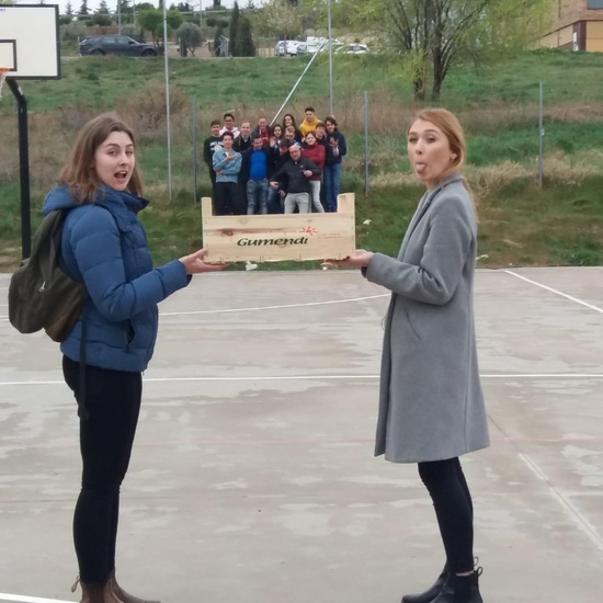 Visita holandeses extra 15