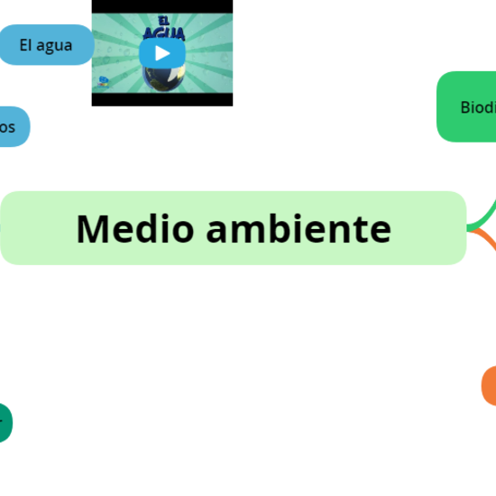 Mapa mental medio ambiente