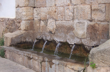 Fuente, Munébrega, Zaragoza