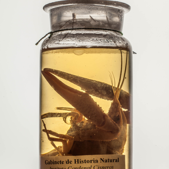 IES_CARDENALCISNEROS_CIENCIASNATURALES_079