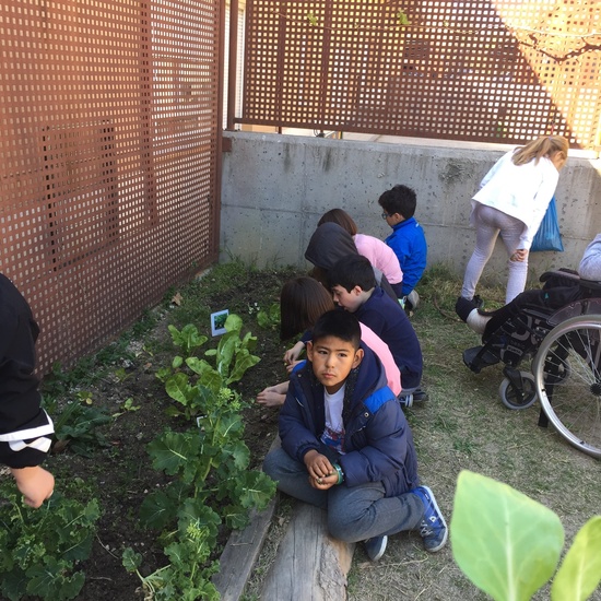 El año hortelano de 4º B 27